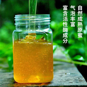 蜂蜜天然土蜂蜜百花蜜槐花蜜源头厂家深山蜂巢蜜大量有货