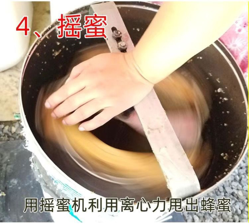 蜂蜜天然土蜂蜜百花蜜槐花蜜源头厂家深山蜂巢蜜大量有货