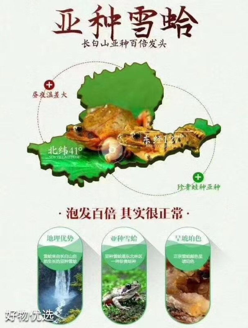 批发吉林林蛙油条油块油都有，足干2022年新货