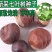 绿化用七叶树种籽新采七叶树种子梭椤树种子园林乔木