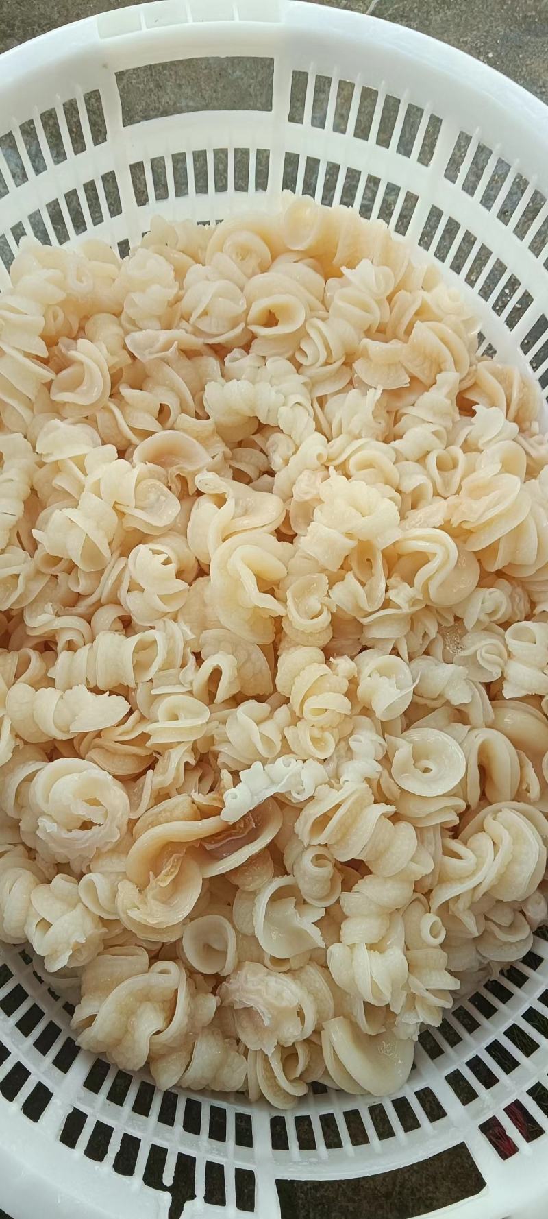 鱼肠，自家工厂，欢迎新老顾客回购，需要的来