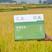 羊场大米精品大米产地直供量大从优品质保障欢迎咨询
