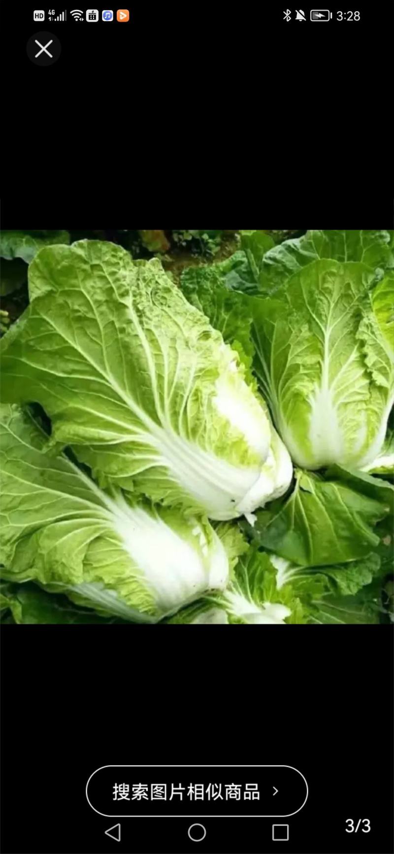 各类蔬菜