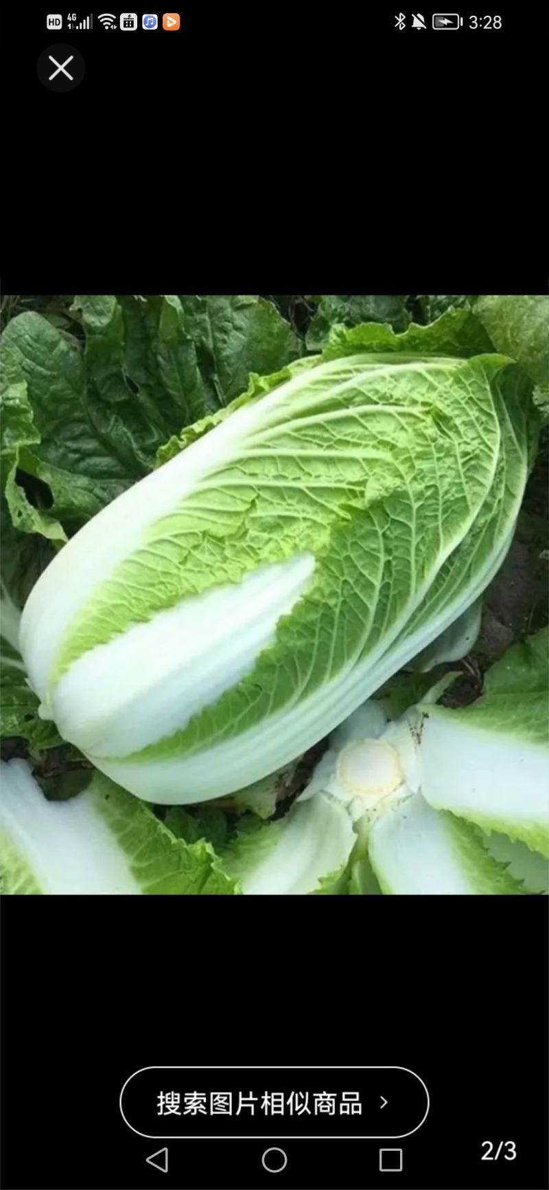 各类蔬菜