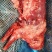 兔肉新鲜后腿肉前腿肉整只新鲜肉腊肉香肉腌制