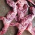 兔肉新鲜后腿肉前腿肉整只新鲜肉腊肉香肉腌制
