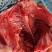 兔肉新鲜后腿肉前腿肉整只新鲜肉腊肉香肉腌制
