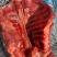 兔肉新鲜后腿肉前腿肉整只新鲜肉腊肉香肉腌制