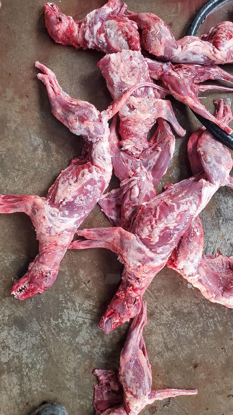 兔肉新鲜后腿肉前腿肉整只新鲜肉腊肉香肉腌制