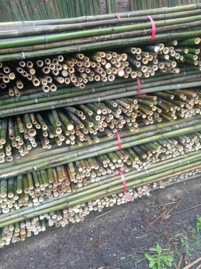 菜架竹、豆角竹、东瓜竹规格2米之7米