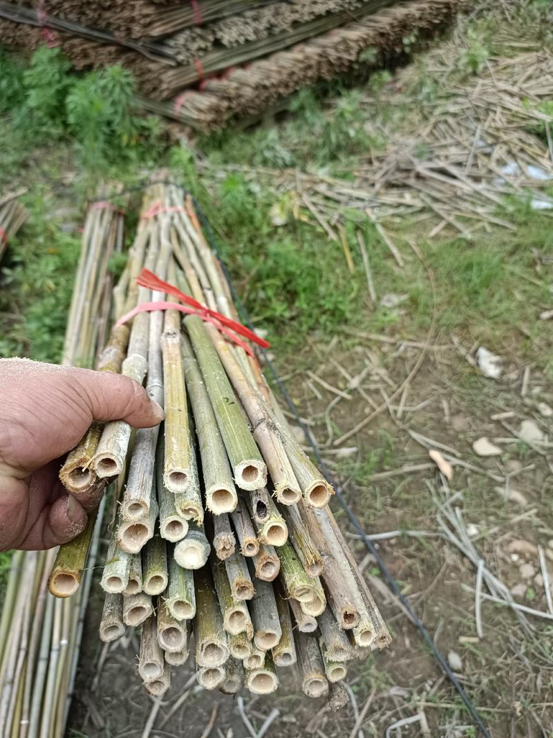 菜架竹、豆角竹、东瓜竹规格2米之7米