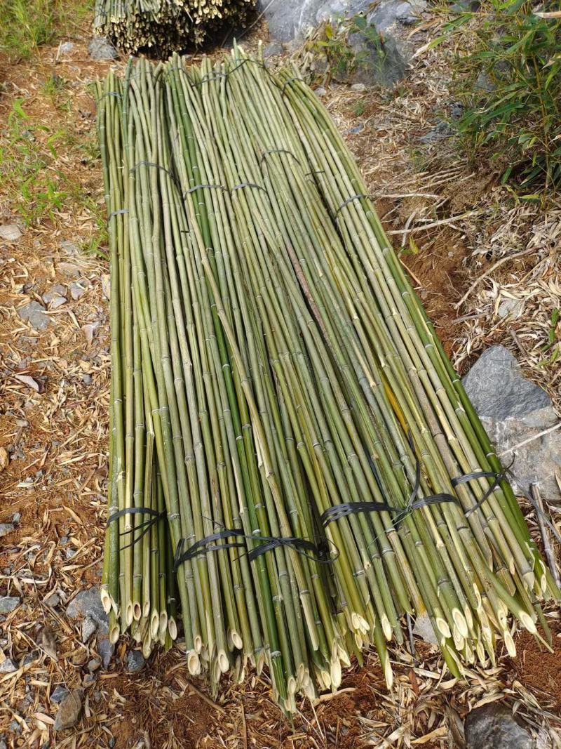 菜架竹、豆角竹、东瓜竹规格2米之7米