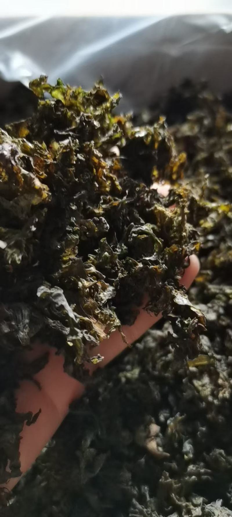 宁夏野生菌，俗称地软子，肉皮厚，口感很好
