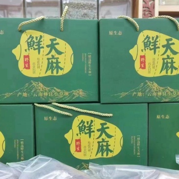 正宗昭通小草坝天麻一件发，礼盒装，一件代发