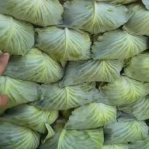 东台市扁包菜大量上市价格美丽基地一手货源可视频