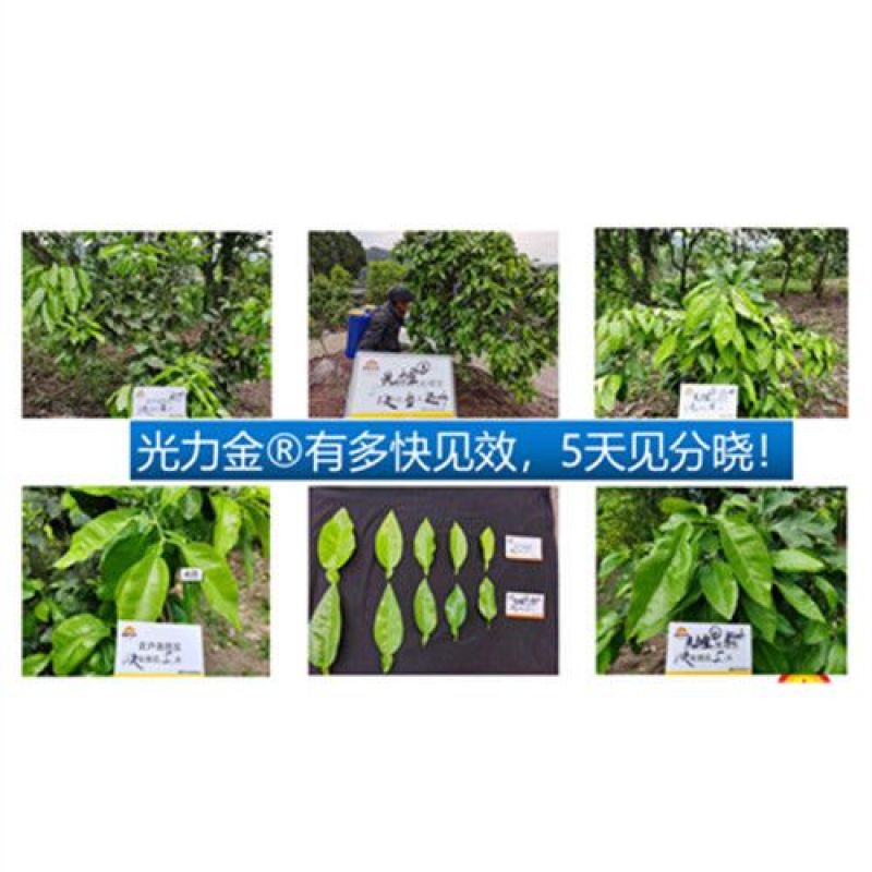 普罗丰禾光力金聚合工艺快速补充磷钾硼锌
