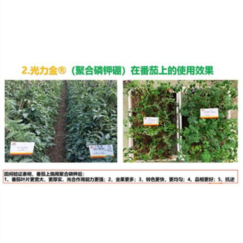 普罗丰禾光力金聚合工艺快速补充磷钾硼锌