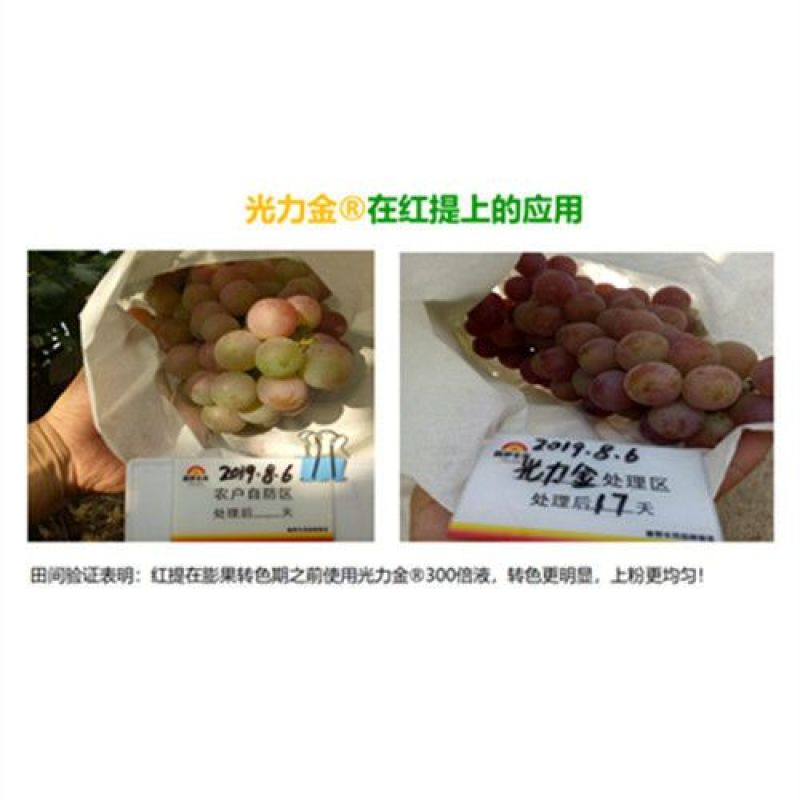 普罗丰禾光力金聚合工艺快速补充磷钾硼锌