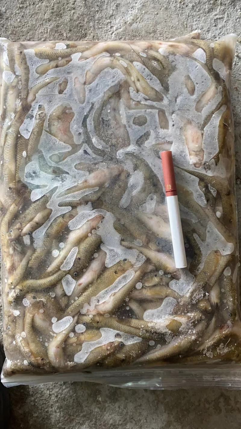 草虾青虾速冻物美价廉
