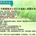 斩刀75%甲嘧磺隆农药杀草剂打除草剂死草烂根荒地公路铁路