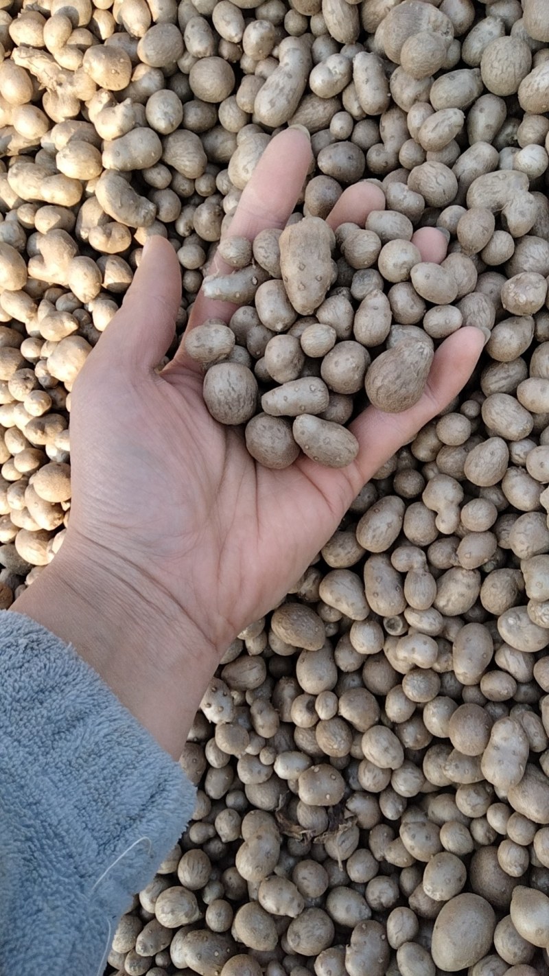 白玉山药混豆