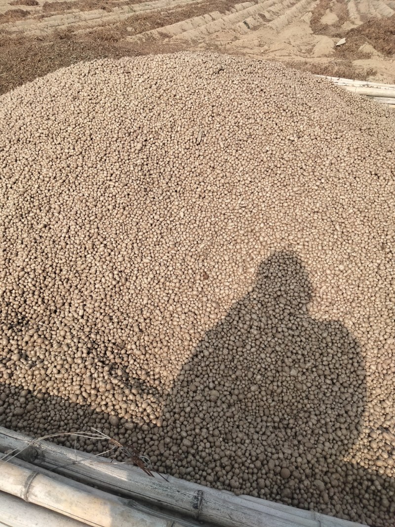 白玉山药混豆