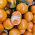 湖南东江湖蜜橘，各种规格，供应大型超市市场电商