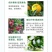 国光健领吡唑醚菌酯戊唑醇黑斑病锈病小麦赤霉病白粉病农药杀