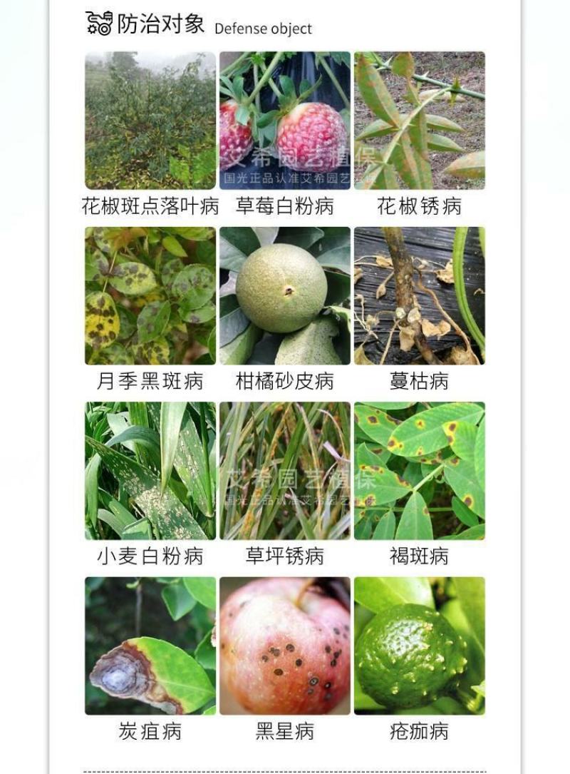 国光健领吡唑醚菌酯戊唑醇黑斑病锈病小麦赤霉病白粉病农药杀