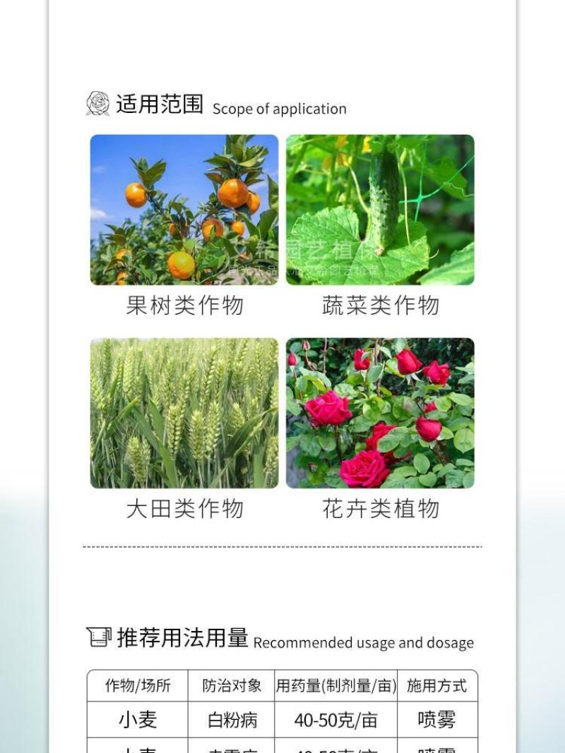 国光健领吡唑醚菌酯戊唑醇黑斑病锈病小麦赤霉病白粉病农药杀