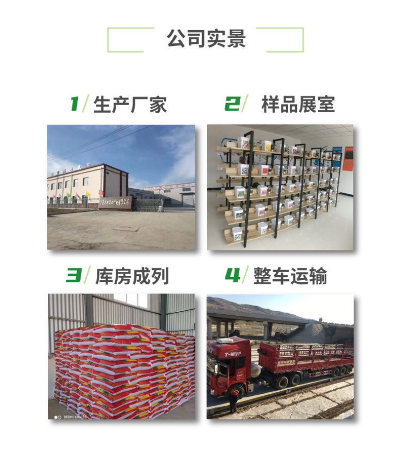 红柳种子怪柳种子盐碱地种子柽柳柳阴柳种子多枝怪柳红柳种