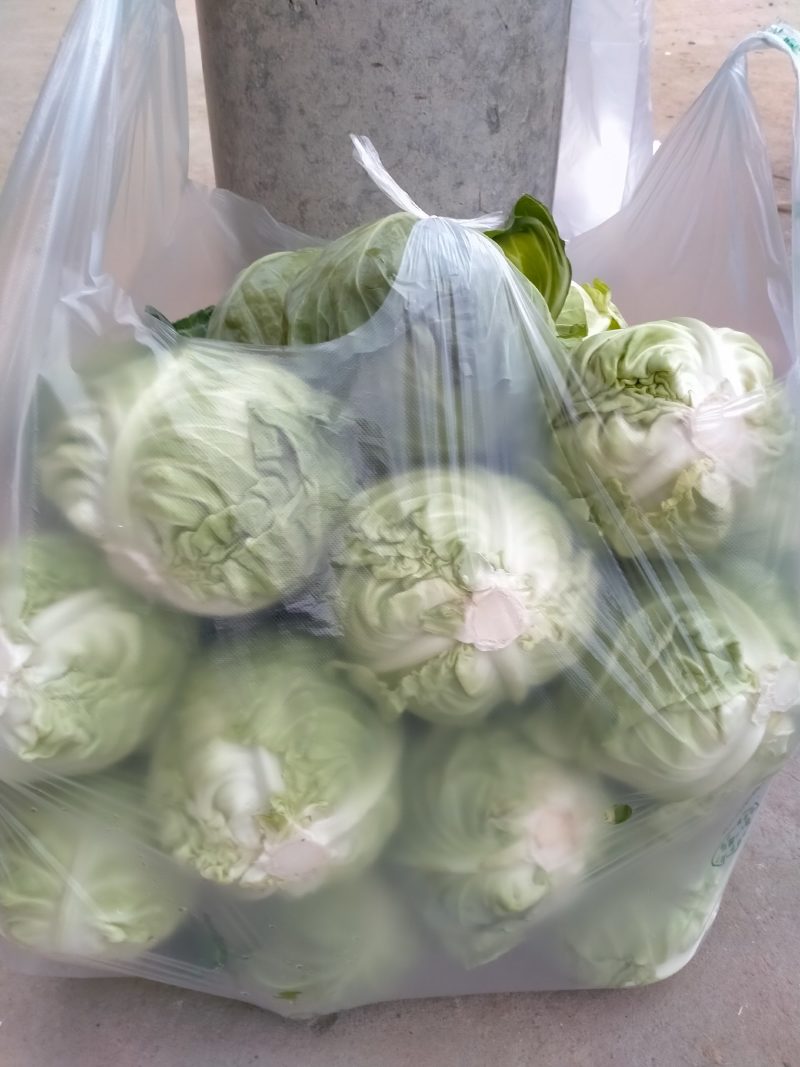 新野甘蓝大量上市量大从优，可视频看货，欢迎老板咨询