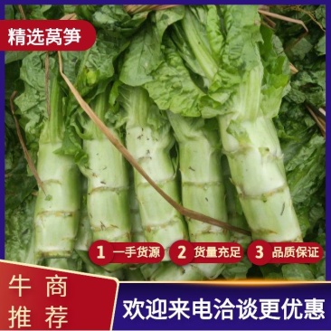 精品竹筒青莴笋大量上市，一手货源。可供商超，商场，社区。