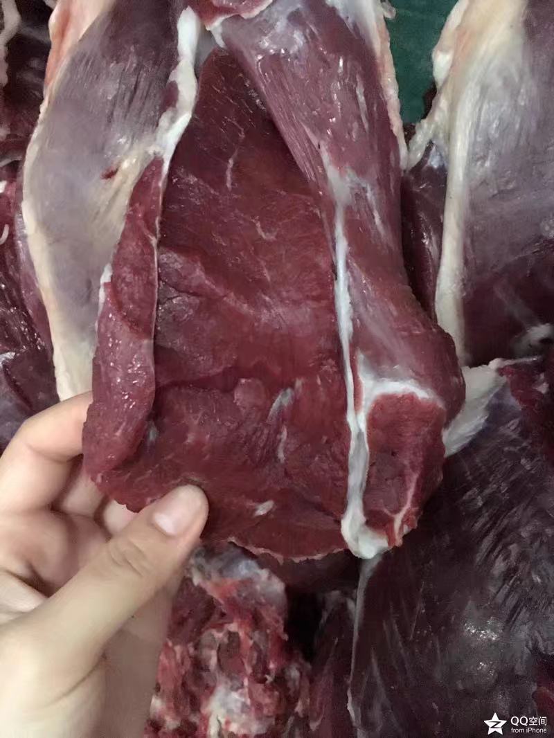 羊肉新鲜现杀羊腔子边口无骨羊肉羊骨羊血羊油