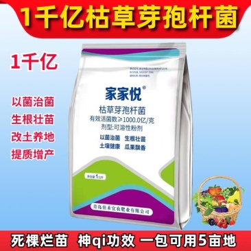 正浩1000亿枯草芽孢杆菌生根壮苗提质增产以菌治菌