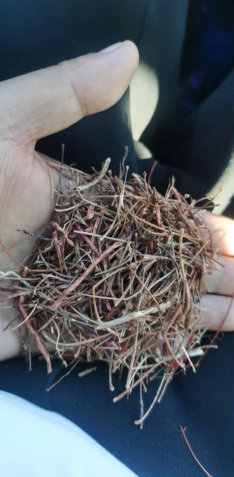 五味子杆子没有五味子叶子干净杆子好好干，质量刚刚