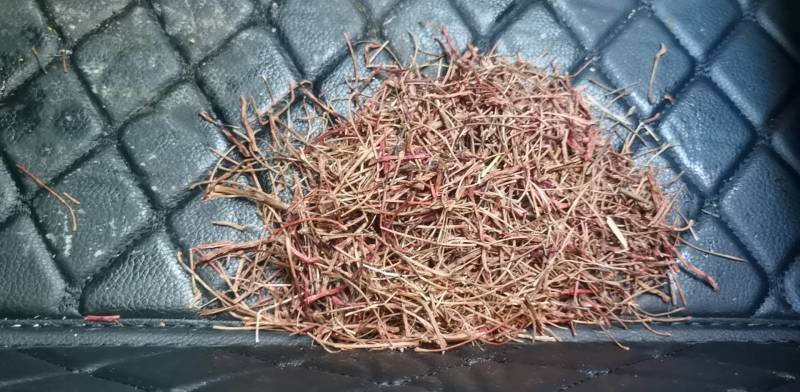 五味子杆子没有五味子叶子干净杆子好好干，质量刚刚