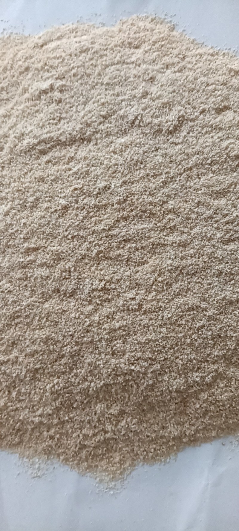 次粉价格美丽，大量现货
