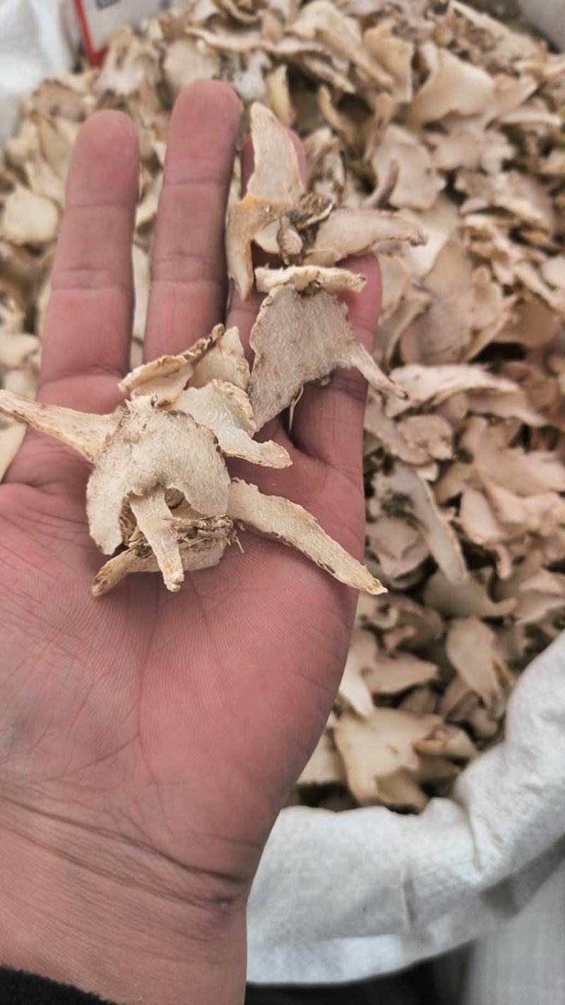 白芨1公斤起批包邮量大电议欢迎咨询各种中药材