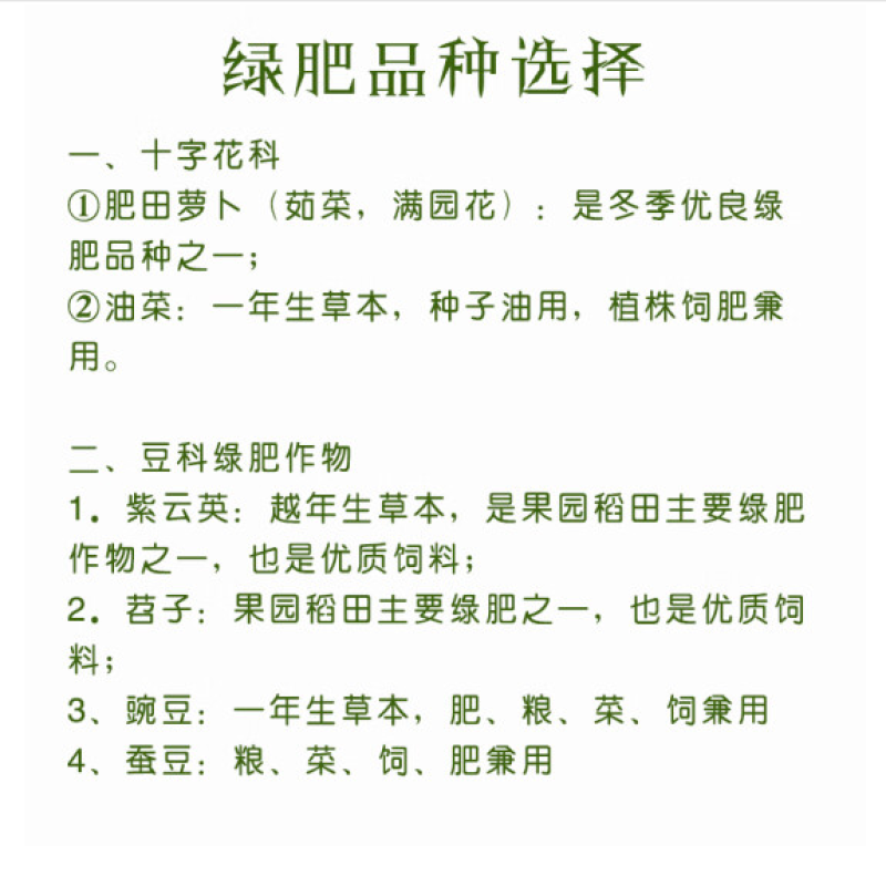肥田萝卜种子优质天然绿肥种子果树优选品种增肥土壤