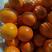 精品纽荷尔脐橙湖北橙子大量有货，个头大口感甜颜色黄水份足！