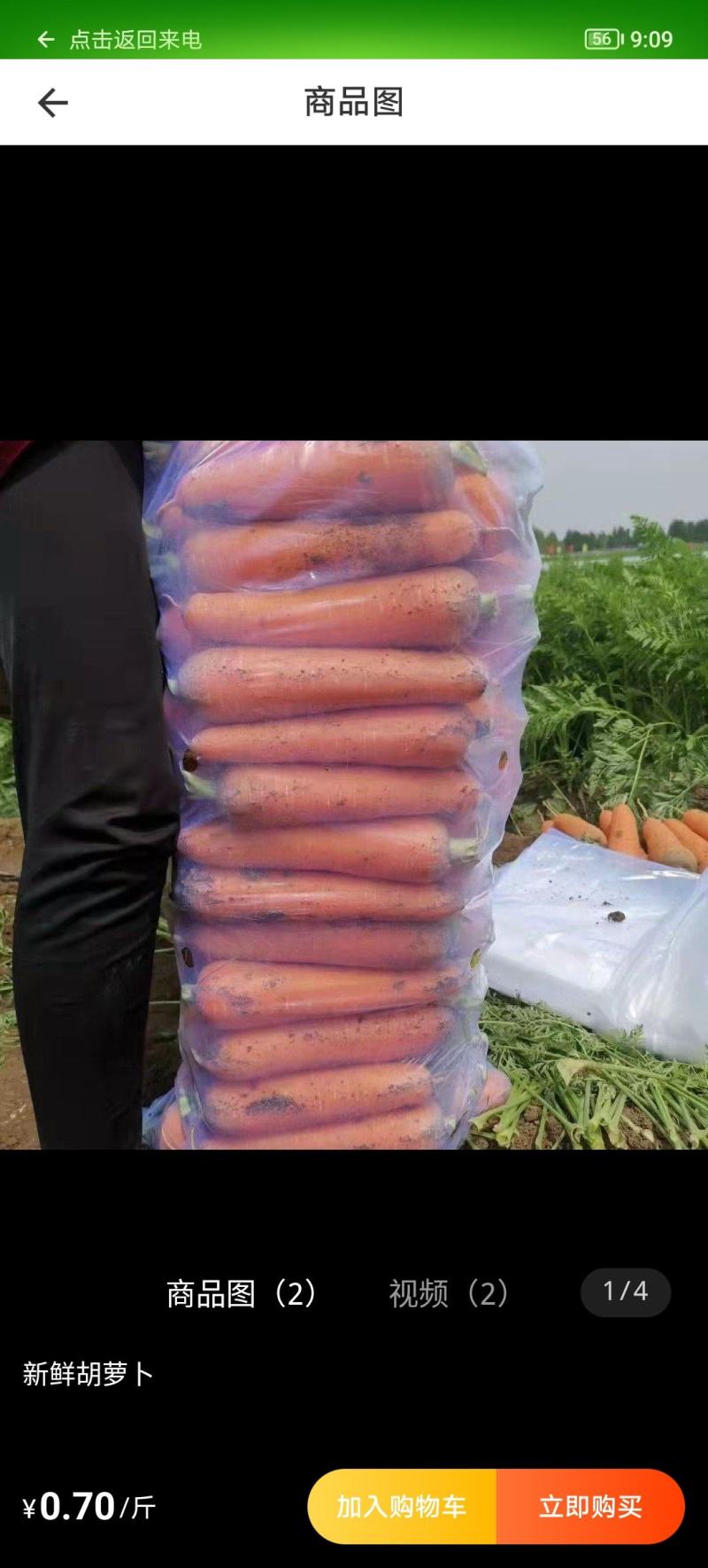 开封胡萝卜，大吨位供应，专业团队，电商超市市场批发