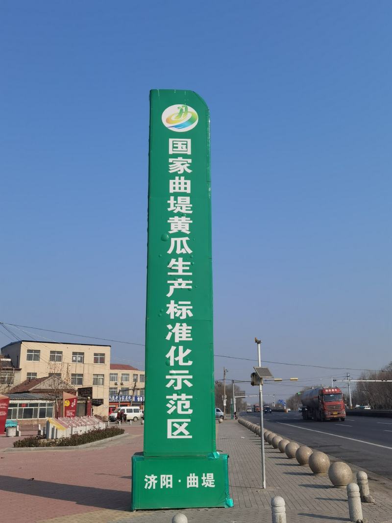 黄瓜/曲堤密刺黄瓜/密刺黄瓜/对接各大批发市场
