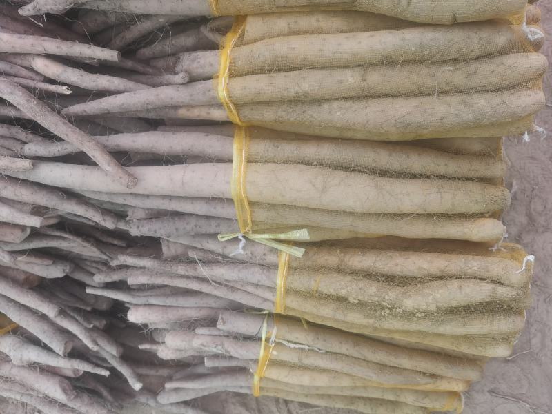 山药网贷山药