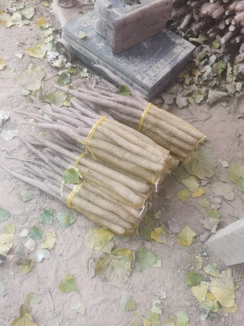 山药网贷山药