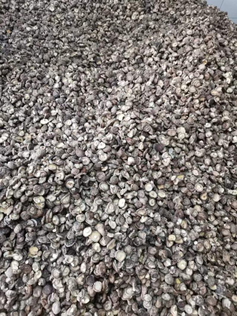 黄平香菇大量上市中，基地直供货源足品质好，欢迎来电咨询