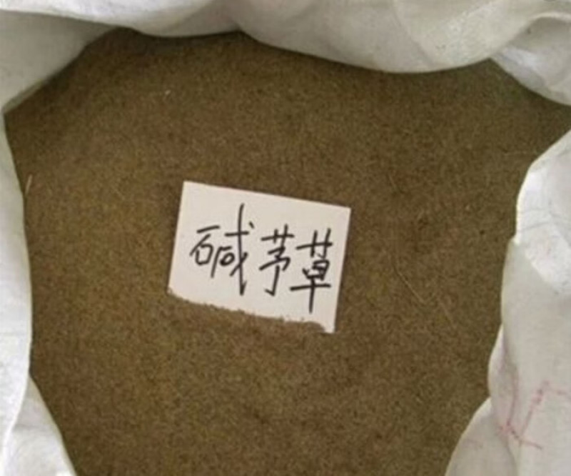 碱茅草种子耐寒耐旱耐盐碱多年生草籽不挑土壤四季牧草