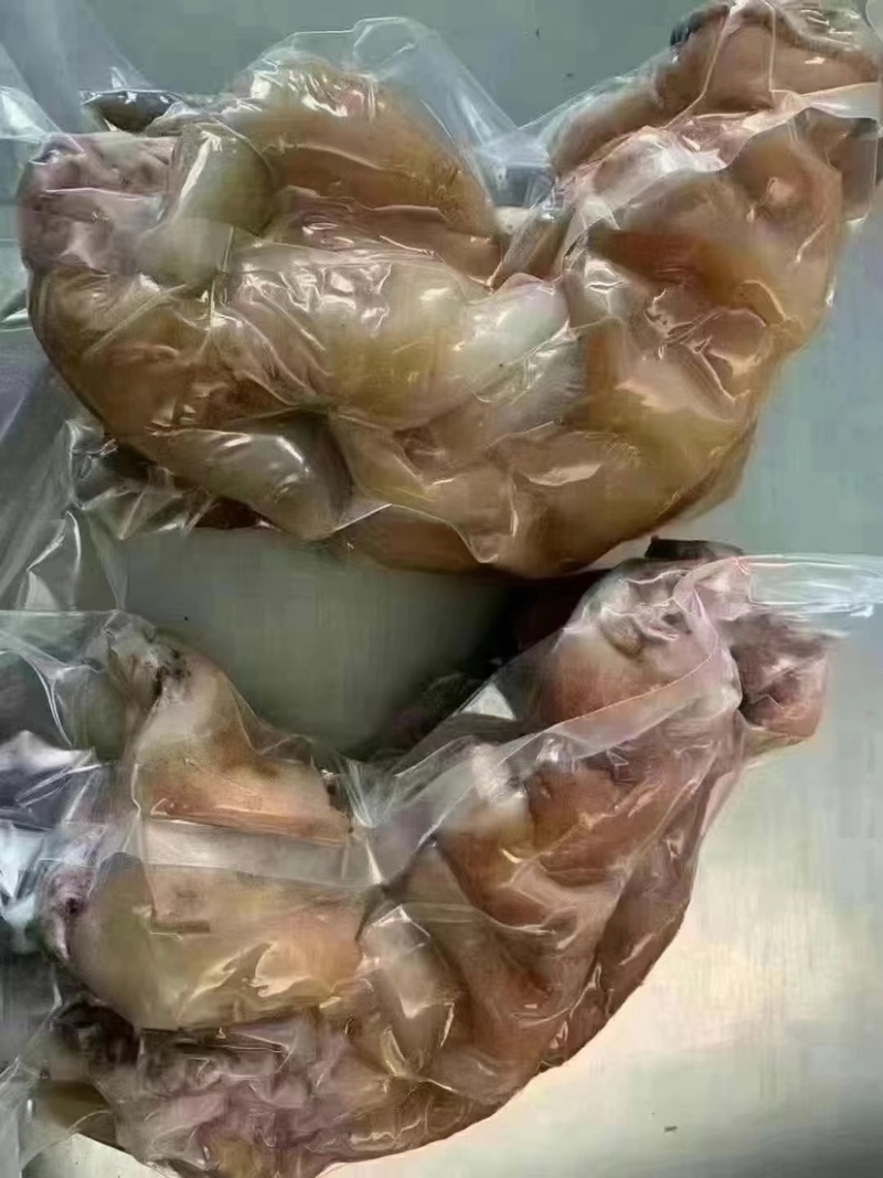 [热卖]牛蹄，全熟去骨带筋牛蹄，牛头牛蹄牛副大量现货