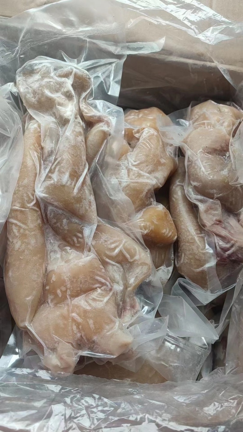 [热卖]牛蹄，全熟去骨带筋牛蹄，牛头牛蹄牛副大量现货