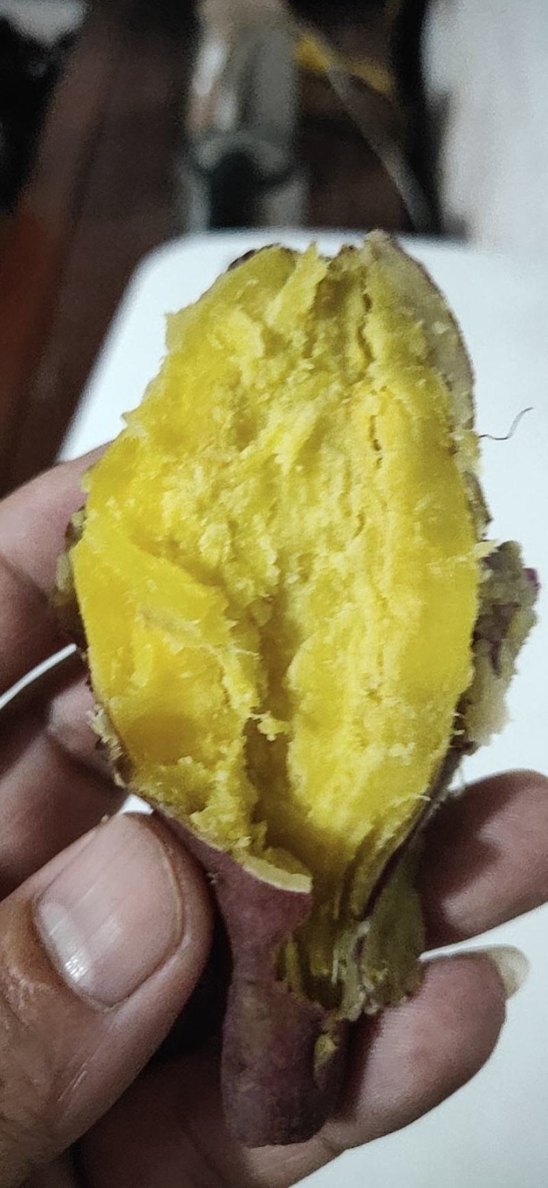 海南板栗小香薯